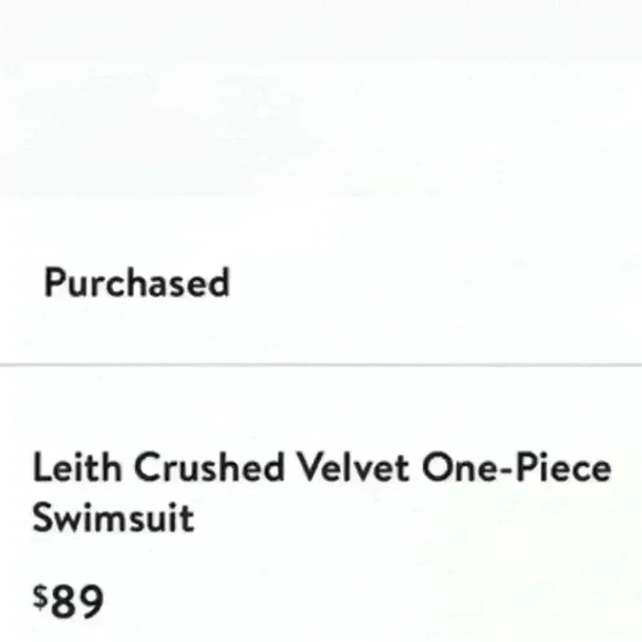 New Silver Velvet Swimsuit - Picture 6 of 10